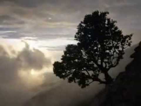 I Campagnoli - Terra nostra