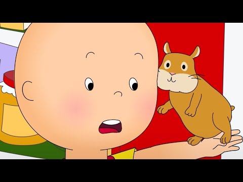 Caillou and the Class Pet | Caillou New Adventures | Cartoons for Kids | WildBrain Bananas