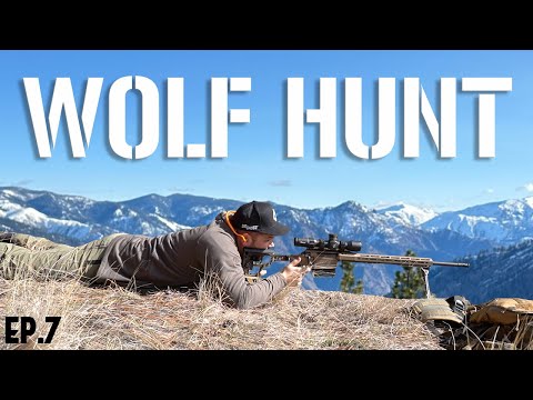 WOLF HUNT | Hunt Weekly | Episode 7