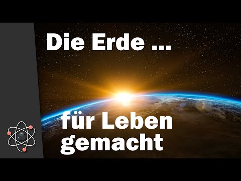 Die Erde - ein priveligierter Ort im Universum/Multiversum? | Astrophysiker Dr. Peter Korevaar