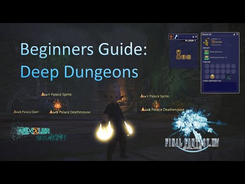 FF14 Beginners Guide : Deep Dungeons
