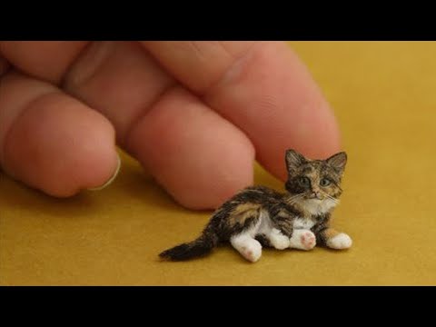 Try Not To Laugh 😆 Funniest Cats and Dogs 2023 😹🐶 Part 9