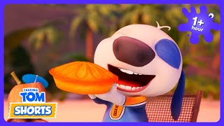 Ele não consegue ENXERGAR nada!? 🥧 - Talking Tom Shorts · Desenhos Animados de 2026 para Crianças
