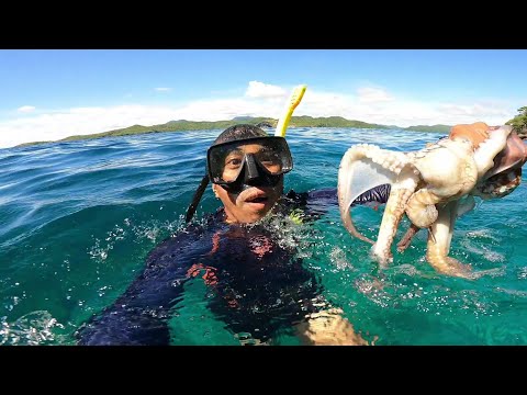 Japer Sniper Pugita Compilation