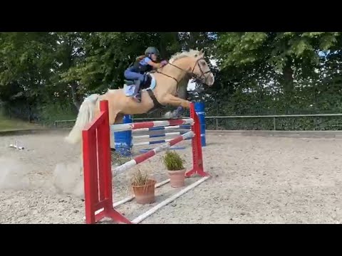 Malu (11) und Dancer - wollen hoch hinaus am 11.07.2020