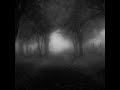 Dead Can Dance - Dawn Of The Iconoclast (909distortion edit)