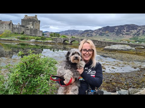 Abbe de Vere Discusses The Royal Dragon Court and The HOUSE OF VERE  #royaldragoncourt #HouseofVere 