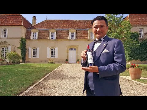 Mein Wein, mein Berg, mein Schloss: Chinesen auf Einkaufstour (SPIEGEL TV für ARTE Re:)