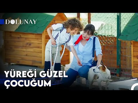Afacan Bulut'un En Sevilen Anları #3 - Dolunay