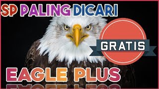 Download lagu Suara Walet Dari Arief Budiman Original | SP Panggil Eagle Plus MP3 mp3