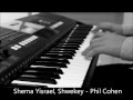 Shema Yisrael Shwekey Keyboard Cover - Phil ...