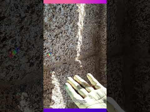 Tarot Psychic Palmist fortune tellers for hire UK EU 