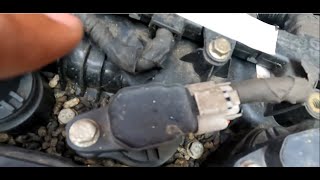 How To Clean a Dirty Car Engine Filled With Rat Poops