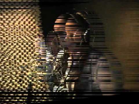 Hommage à Dj Lam-C By Edwige Les Légendes Ne Meurent Jamais (Sudio).wmv