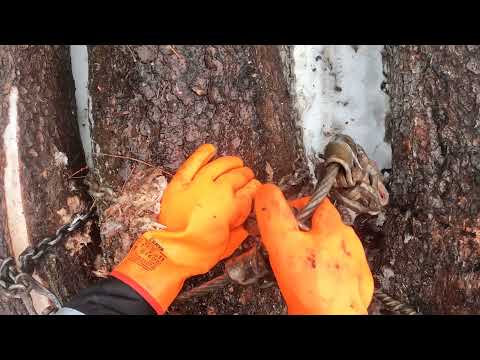 Zetor 7340 turbo  (retro)