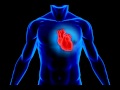 Программа для нормализации работы сердца и СС системы 