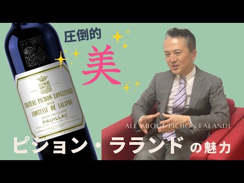 シャトー ドゥ ラ ロッシュ ベルフォス