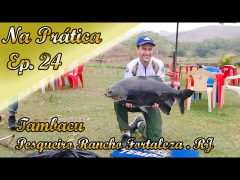 TAMBACU - PESQUEIRO RANCHO FORTALEZA - PESCARIA - PARAÍBA DA SUL - RJ