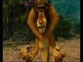 Punjaagi Totay Madagascar Movie Part 1 Of 2