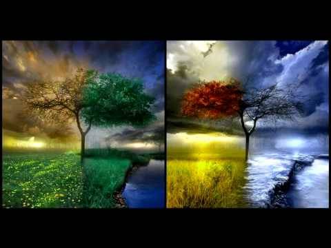 B0UNC3 - Distorted reality