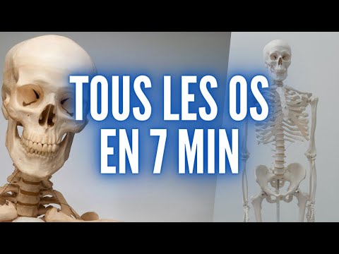TOUS LES OS DU CORPS HUMAIN EN 7 MIN