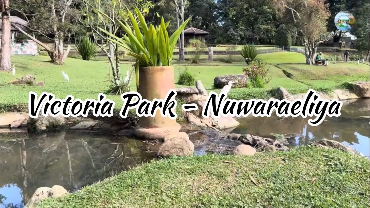 Dive into the highlights of Victoria Park.