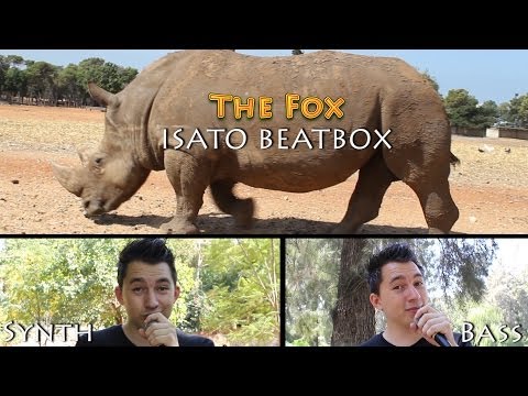 Ylvis - THE FOX - Acapella Beatbox Cover - Isato Beatbox - איסאטו ביטבוקס - אקפלה קאבר