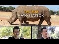 Ylvis - THE FOX - Acapella Beatbox Cover - Isato ...