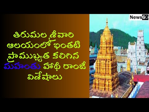 Mahanthu Hathi Ramji matam history