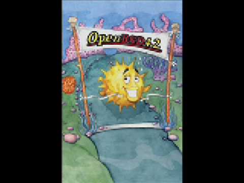 OpenBSD - 100001 1010101