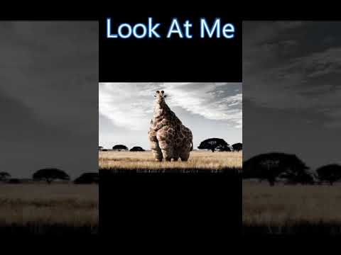 Q FullCircle - Look At Me - Feat. J-Dare & Rome Rowe