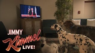 Do Dogs Take Orders From Donald Trump?