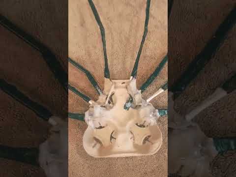 FACEHUGGER BUILD PART 6 #youtubeshorts #shorts #alien #scifi #movie