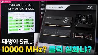 퀘이사존