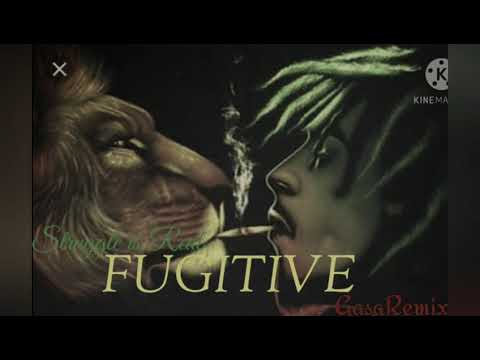 FUGITIVE REMIX