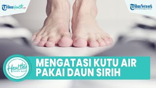 Rasa Gatal Tak kunjung Sembuh pada Kaki akibat Kutu Air, Begini Cara Atasinya dengan Daun Sirih