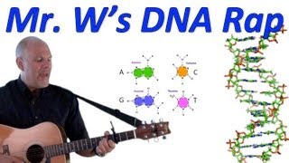 DNA, Fantastic! Mr. W's DNA Rap