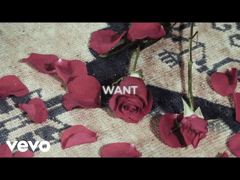 Morgan Wade - Want (Official Lyric Video)