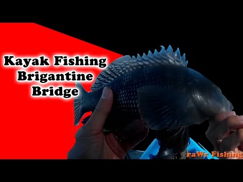 Kayak Fishing - Brigantine Bridge w/ Clams 20151024