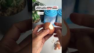 Download lagu Tips merebus telur mudah dikupas #shortsfeed #tipspraktis #food #tipssederhana #tips mp3 Download lagu Tips merebus telur mudah dikupas #shortsfeed #tipspraktis #food #tipssederhana #tips mp3