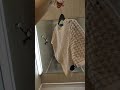 Mesh T Shirt Fashion Tryon Haul Shein Seethrough Transparent Hm H M Twitch Alicedali
