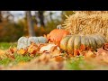 2 Hours Of THANKSGIVING Music Peaceful Music Happy Thanksgiving Instrumental
