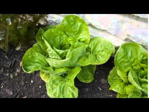 Crop Rotation Made Simple