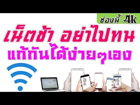 เชื้อโรคม้าที่ขาย เตรียมสมุนไพรเพื่อเพิ่มความแข็งแรง