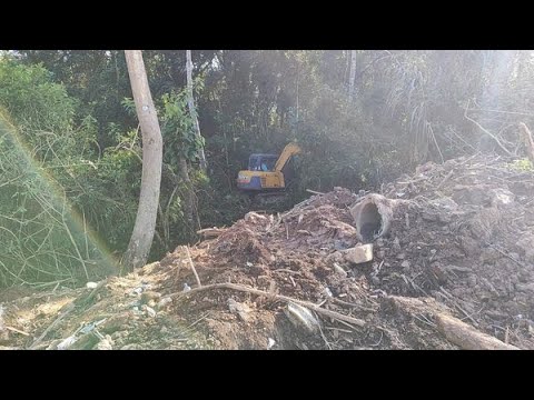 MÁQUINA RETROESCAVADEIRA ARREGAÇANDO A MATA CILIAR DO RIO SÃO LOURENÇO NO CSU.