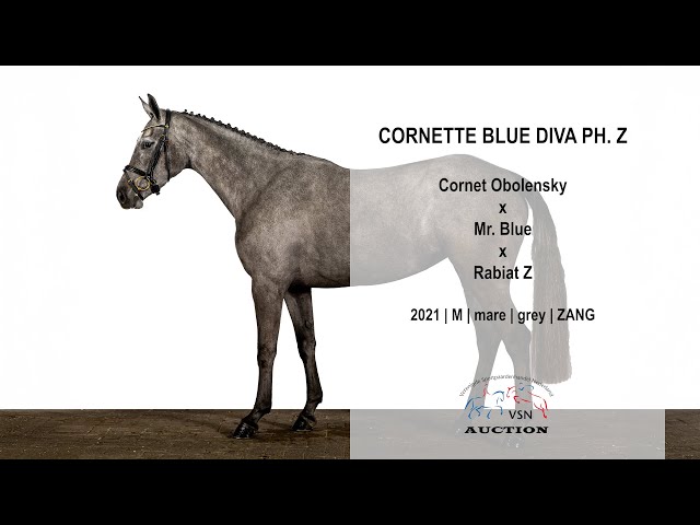 Auction video