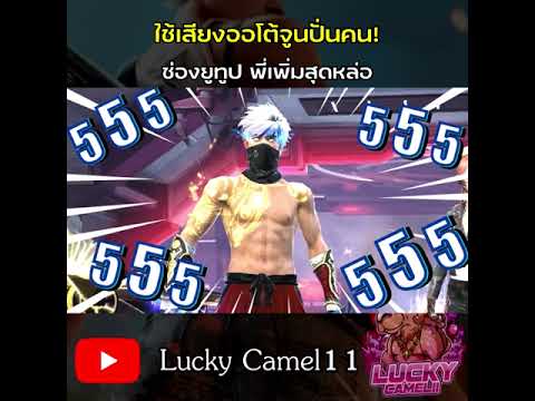 ฟีฟาย