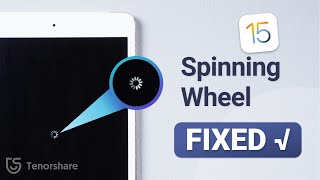 How to Fix iPad Spinning Wheel Black Screen When Updating
