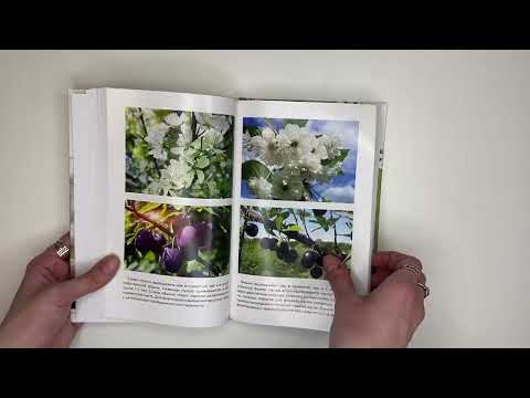 Миниатюра изображения товара Книга АСТ Энциклопедия садовой обрезки (Окунева И.Б.)