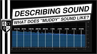 What Does &quot;Muddy&quot;, &quot;Boxy&quot;, &amp; &quot;Tinny&quot; Sound Like? | WORDS TO DESCRIBE SOUND QUALITY